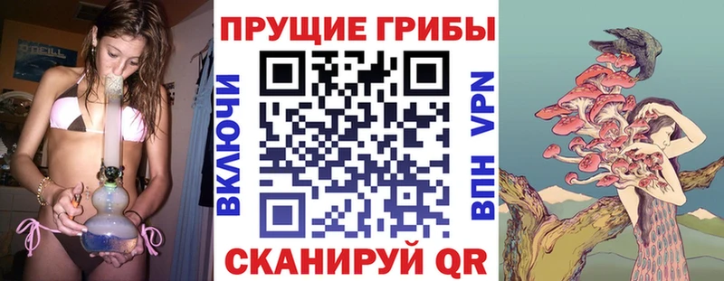 Галлюциногенные грибы GOLDEN TEACHER Балаково